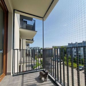 SIATKA NA KOTY,  METODA BEZINWAZYJNA  - BYDGOSZCZ