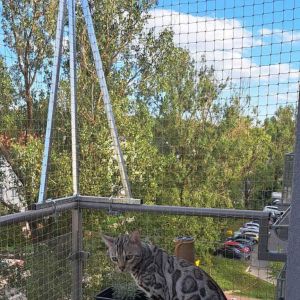 OSIATKOWANIE BALKONU ZE STWORZENIEM ZADASZENIA Z SIATKI  -  ZIELONA GÓRA