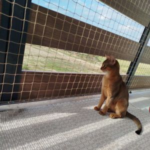 SIATKI BALKONOWE DLA KOTÓW  - OLSZTYN