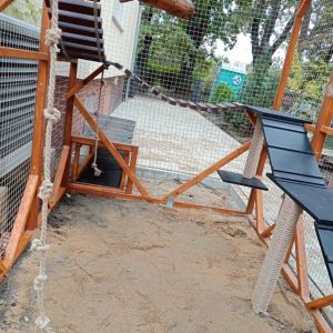 WYPOSAŻENIE WOLIERY - PÓŁKI, SCHODKI, DRAPAKI