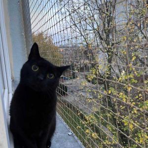 MONTAŻ SIATKI OKIENNEJ DLA KOTÓW  - WARSZAWA