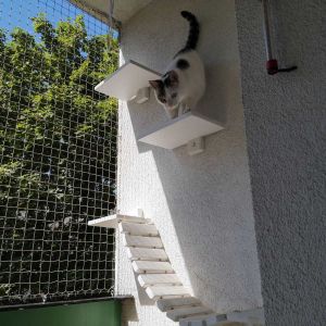 MONTAŻ KOCICH AKCESORIÓW - POZNAŃ