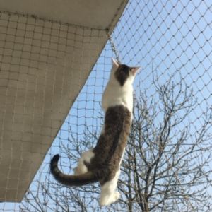 MONTAŻ SIATKI BALKONOWEJ DLA KOTÓW - BYDGOSZCZ