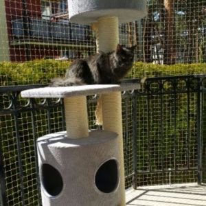 OCHRONA BALKONU SIATKĄ - JASTARNIA