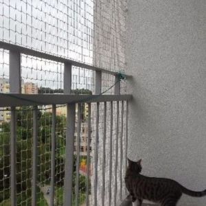 SIATKA DLA KOTA NA BALKON - GDAŃSK