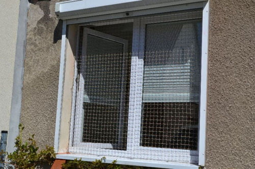 Moskitiera - złudne zabezpieczenie okna dla kota